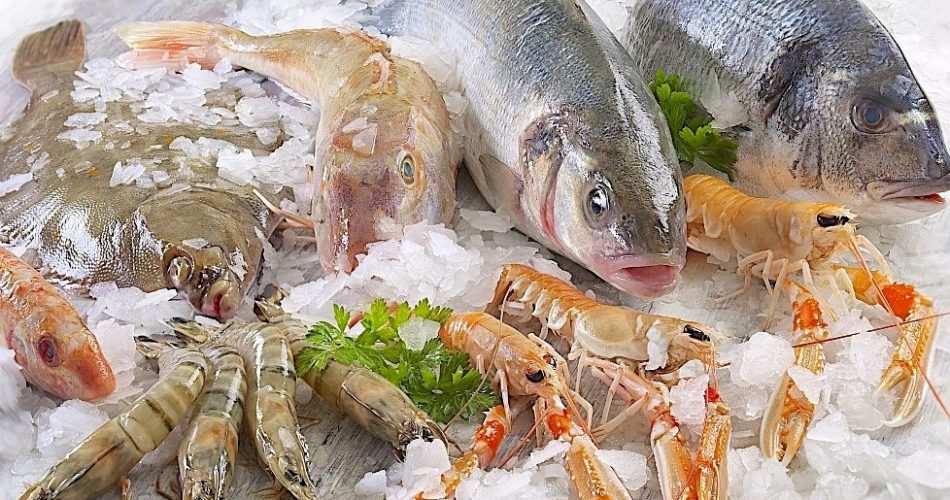 Как правильно выбрать рыбу и морепродукты? | Простые рецепты на каждый день