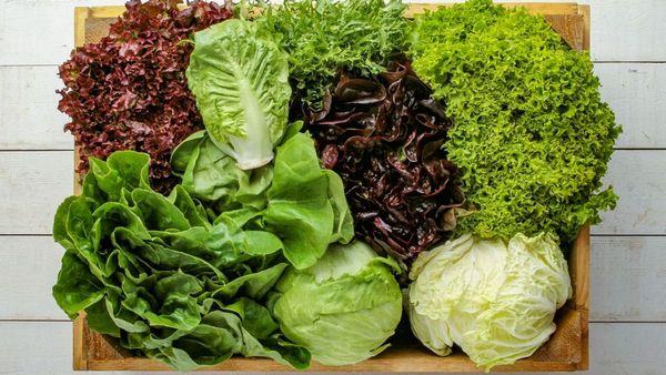 Зеленые салаты | Простые рецепты на каждый день